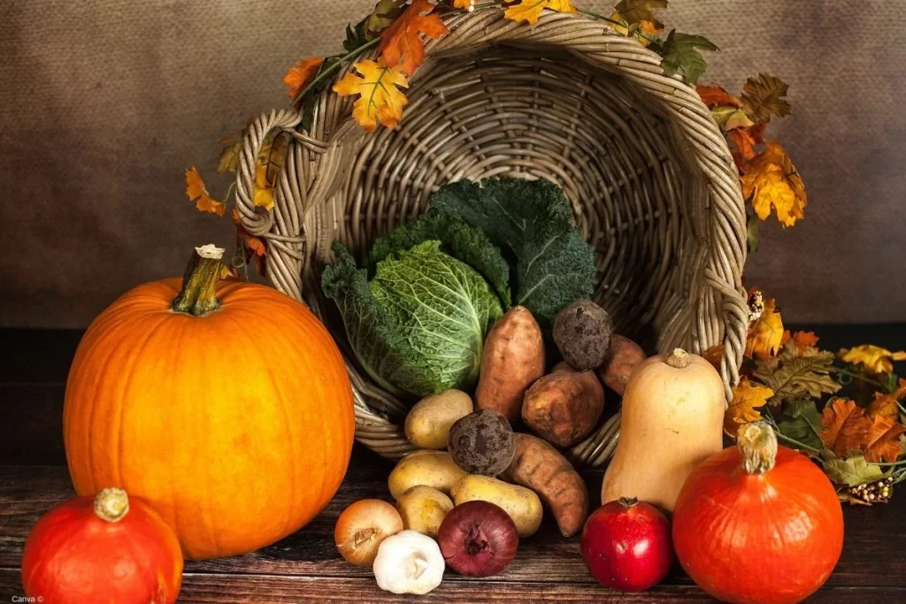 Verduras de Outono